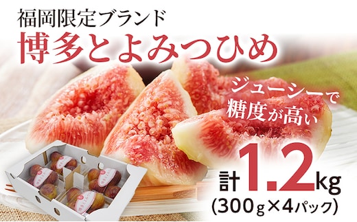いちじく 博多とよみつひめ 300g×4パック いちじく イチジク 無花果 計1.2kg 福岡限定 フルーツ 果物 とよみつひめ 九州 福岡 ジューシー 糖度が高い スムージー フレッシュ 福岡県産【2026年7月下旬以降順次発送予定】