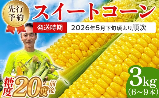 とうもろこし スイートコーン 3kg（6~9本）野菜 コーン スーパースイートコーン 採れたて 糖度20度 【2026年5月下旬頃より順次発送予定】