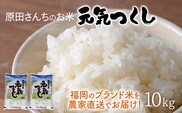 「原田さんちのお米」元気つくし 米 10kg お取り寄せグルメ お取り寄せ 福岡 お土産 九州 ご当地グルメ 福岡土産 取り寄せ 福岡県 食品