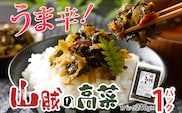 辛子高菜 240g×1パック 山賊の高菜 からし高菜 メール便 ポッキリ お米に合う ご飯のお供 おつまみ 国産 無添加 お取り寄せ 福岡 お土産 九州 グルメ 福岡県