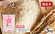 令和7年産　福岡県産ブランド米「夢つくし」無洗米　5kg【9月上旬頃より順次出荷予定】