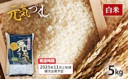 令和7年産　福岡県産ブランド米「元気つくし」白米5kg【11月上旬頃より順次出荷予定】