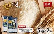 令和7年産　福岡県産ブランド米「元気つくし」白米10kg【11月上旬頃より順次出荷予定】