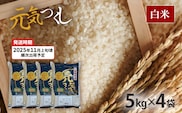 令和7年産　福岡県産ブランド米「元気つくし」白米20kg【11月上旬頃より順次出荷予定】