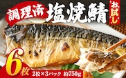 お試し さば 塩サバ 塩焼鯖6枚 大ぶり 調理済 レンチン 温めるだけ 脂のり 惣菜 晩御飯 おかず ジューシー 冷凍 お弁当 レンジ調理 サバ 自社製造 朝ごはん 和食 簡単調理 アレンジ 塩焼き