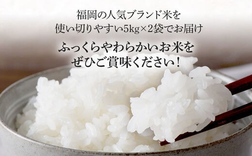 新米 令和5年産 福岡県産ブランド米「夢つくし」無洗米 計10kg | d