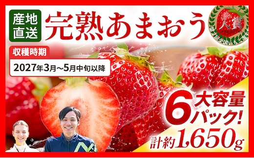 あまおう 約1650g（約275g×6パック） 【先行受付／2027年3月～5月中旬順次発送予定】いちご 苺 福岡高級 フルーツ お取り寄せ ご当地グルメ 福岡土産 取り寄せ グルメ 福岡県 食品 社会福祉法人 猪位金福祉会