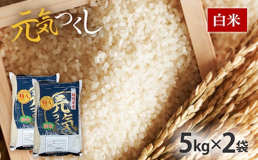 令和7年産 福岡県産ブランド米「元気つくし」白米10kg