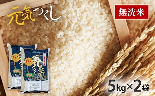 令和7年産 福岡県産ブランド米「元気つくし」無洗米10kg