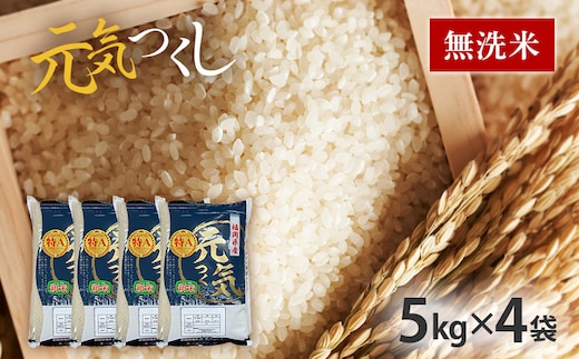 令和7年産 福岡県産ブランド米「元気つくし」無洗米20kg