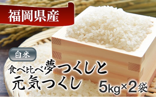 令和8年産 福岡県産米食べ比べ（白米）「夢つくし」と「元気つくし」セット 計10kg お取り寄せグルメ お取り寄せ 福岡 お土産 九州 福岡土産 取り寄せ グルメ 福岡県