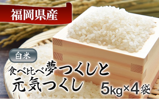 令和8年産 福岡県産米食べ比べ（白米）「夢つくし」と「元気つくし」セット 計20kg 各10kg お取り寄せグルメ お取り寄せ 福岡 お土産 九州 福岡土産 取り寄せ グルメ 福岡県