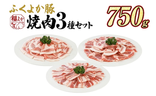 豚肉 焼肉 ふくよか豚 焼肉3種セット 750g ロース 肩ロース バラ ロース肉 肩ロース肉 バラ肉 小分け ブタ肉 ぶた肉 生姜焼き 豚丼 冷凍 福岡県 福岡 九州 グルメ お取り寄せ