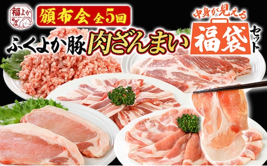 【頒布会】福袋 豚肉 しゃぶしゃぶ 焼肉 切り落とし ステーキ ふくよか豚 定期便 豚肉ざんまいセット ロース 肩ロース バラ ミンチ 肩ロース 小分け ブタ肉 ぶた肉 冷凍 福岡県 福岡 九州 グルメ お取り寄せ