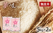 夢つくし 令和8年産 福岡県産ブランド米「夢つくし」無洗米 計10kg お取り寄せグルメ お取り寄せ 福岡 お土産 九州 福岡土産 取り寄せ グルメ 福岡県