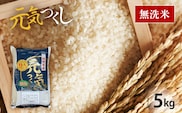 令和7年産　福岡県産ブランド米「元気つくし」無洗米　5kg