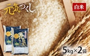 令和7年産　福岡県産ブランド米「元気つくし」白米10kg
