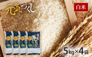 令和7年産　福岡県産ブランド米「元気つくし」白米20kg