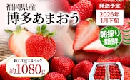 【先行受付】農家直送 朝採り新鮮いちご【博多あまおう】＜1月下旬より順次発送＞ 約270g×4パック 福岡県産 苺 イチゴ 朝採れ 冷蔵 スイーツ ジュース ギフト プレゼント お土産 九州 福岡土産 ※北海道・沖縄・離島は配送不可