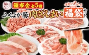 【頒布会】福袋 豚肉 しゃぶしゃぶ 焼肉 切り落とし ステーキ ふくよか豚 定期便 豚肉ざんまいセット ロース 肩ロース バラ ミンチ 肩ロース 小分け ブタ肉 ぶた肉 冷凍 福岡県 福岡 九州 グルメ お取り寄せ