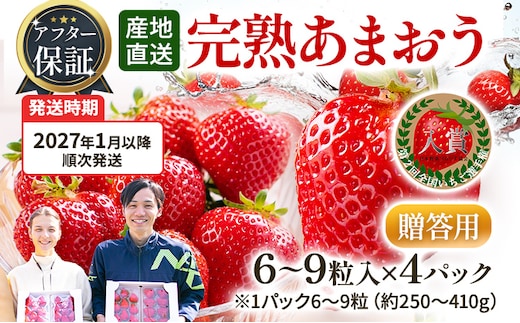 アフター保証 あまおう 6～9粒入り×4パック【先行受付／2027年1月以降順次発送予定】いちご 大粒 不揃い DX デラックス エクセレント 苺 イチゴ 福岡高級 フルーツ 土産 福岡県