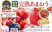 アフター保証 あまおう 6～9粒入り×4パック【先行受付／2027年1月以降順次発送予定】いちご 大粒 不揃い DX デラックス エクセレント 苺 イチゴ 福岡高級 フルーツ 土産 福岡県