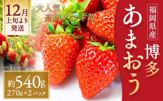 いちご「あまおう」 約270g×2パック 計約540g 苺 イチゴ 果物 フルーツ 【2026年12月上旬~2027年1月下旬発送】