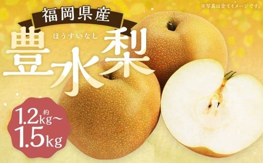 豊水梨 約1.2kg~1.5kg 3玉 【よらん野】【2026年8月下旬から9月下旬発送予定】 ナシ なし 梨 フルーツ くだもの 果物 果実 3玉
