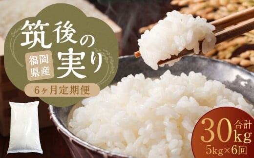 【6回定期便】 筑後の実り 5kg×6回 定期便 米 白米 ブレンド ご飯 国産 贈り物 定期便 福岡県 筑後市