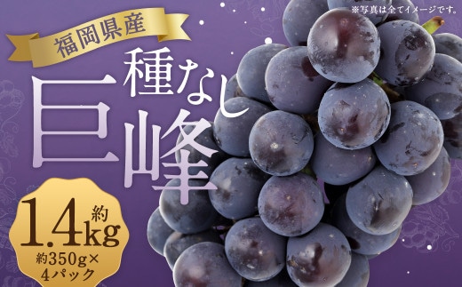 数量限定 種なし 巨峰 約350g×4パック 計約1.4kg ぶどう ブドウ 果物 フルーツ 福岡県産 【2026年6月下旬~8月上旬発送予定】