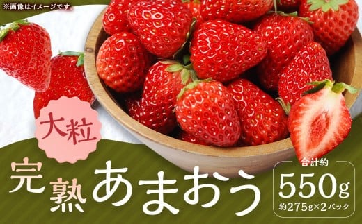 完熟あまおう(大粒サイズ)275g×2パック 計約550g【2026年1月上旬から3月下旬頃発送予定】 苺 いちご イチゴ 果物 くだもの フルーツ 国産 冷蔵