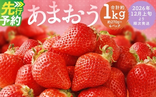 福岡県産 あまおう 合計約1,080g 約270g×4パック 【2026年12月上旬~2027年1月下旬迄発送】