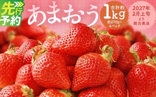 福岡県産 あまおう 合計約1,080g 約270g×4パック 【2027年2月下旬~3月下旬迄発送】