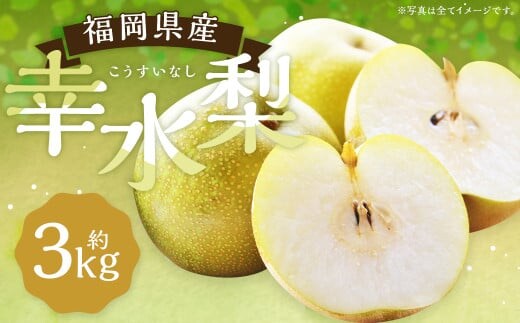 幸水梨 約3kg 5~8玉【2025年7月上旬~8月上旬発送】 ナシ 梨 果物 フルーツ 福岡県産