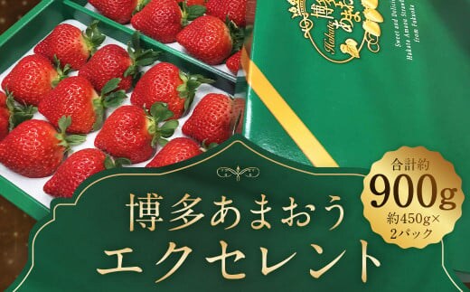 【期間限定】博多 あまおう いちご エクセレント 約450g×2パック 合計約900g【2026年1月下旬~2月下旬順次発送予定】