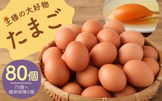 王様の大好物 たまご 80個 ( 75個+破卵保障5個 ) 福岡県産 国産 にわとり 卵かけご飯 ゆでたまご