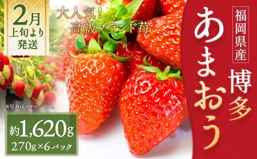 いちご 「あまおう」 約270g×6パック 計約1620g 苺 イチゴ 果物 フルーツ 【2027年2月上旬~2027年3月下旬順次発送予定】