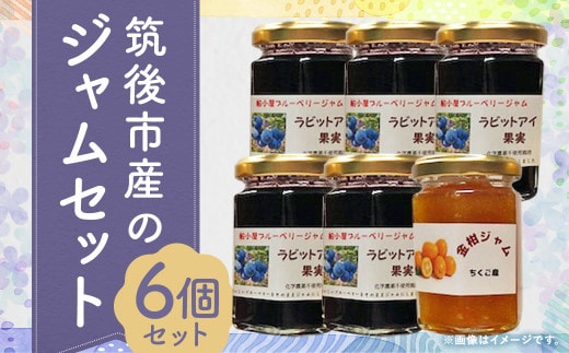 筑後産の ブルーベリージャム 5本 + おすすめジャム 1本 計6本 【2024年8月上旬発送開始】 / ブルーベリー ブラックベリー 桃 金柑 栗 ジャム 果物 フルーツ セット