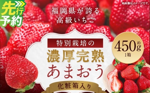 化粧箱入り 特別栽培 の 濃厚 完熟 あまおう 約450g 1パック 【2026年12月上旬から2027年4月下旬まで発送予定】 いちご 苺 果物 フルーツ