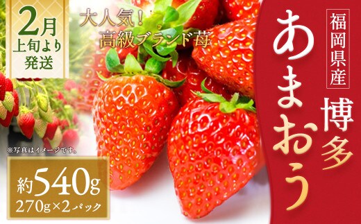 いちご「あまおう」 約270g×2パック 合計 約540g【2026年2月上旬~3月下旬発送】