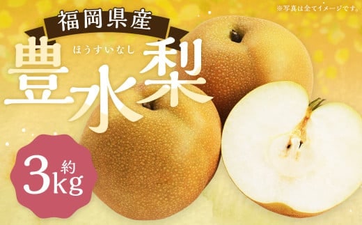 豊水梨 約3kg 5~8玉【2026年8月下旬から9月下旬発送予定】 ナシ 梨 果物 フルーツ 福岡県産