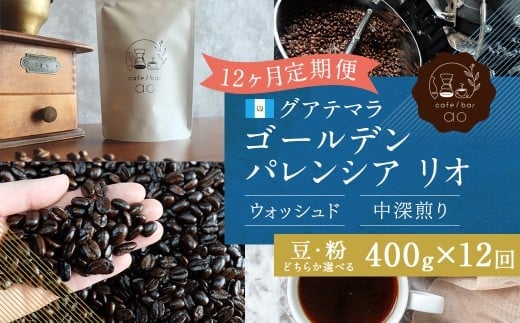 【豆】 【12か月定期便】 グアテマラ ゴールデンパレンシア リオ ウォッシュド (中深煎り) 400g コーヒー 珈琲 豆 まめ マメ