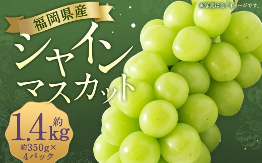 先行予約 シャインマスカット 約1.4kg ぶどう 葡萄 ブドウ マスカット 果物 フルーツ 【2026年8月上旬~9月下旬発送】
