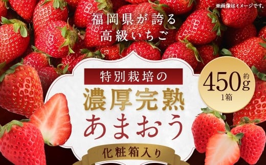 化粧箱入り 特別栽培 の 濃厚 完熟 あまおう 約450g 1パック 【2026年1月上旬~3月下旬まで発送予定】 いちご 苺 果物 フルーツ