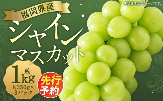 先行予約 シャインマスカット 約1,050g ぶどう 葡萄 ブドウ マスカット 果物 フルーツ 【2027年8月下旬~9月下旬発送】
