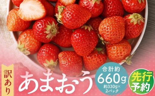 【訳あり】 福岡県産 あまおう 約660g 約330g×2パック 【2027年3月上旬~3月下旬発送】 中粒 小粒 いちご 苺 イチゴ 果物 フルーツ