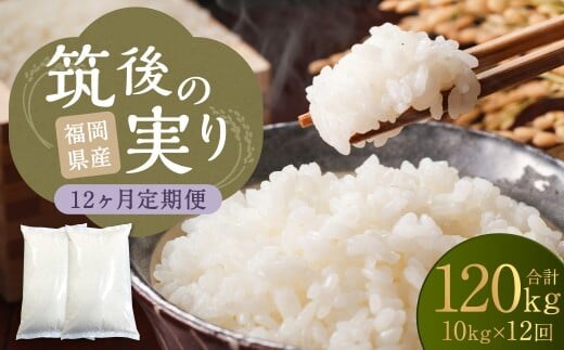 【12回定期便】 筑後の実り 10kg×12回 定期便 米 白米 ブレンド ご飯 国産 贈り物 定期便 福岡県 筑後市