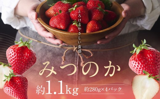 希少な地元産いちご 『みつのか』 280g×4パック 計1.12kg ランキング1位獲得 希少品種 【2025年12月下旬から2026年4月下旬発送予定】