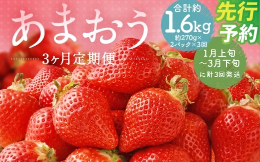 【3回定期便】福岡県産 あまおう 合計約540g 約270g×2パック 【2027年1月上旬~3月下旬迄発送】