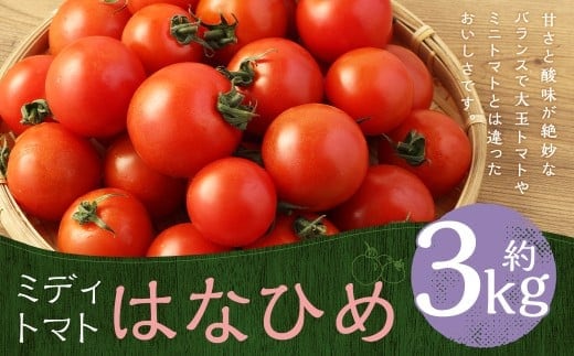 ミディトマト はなひめ 3kg 中玉 トマト 福岡県産 【7月-11月発送不可】